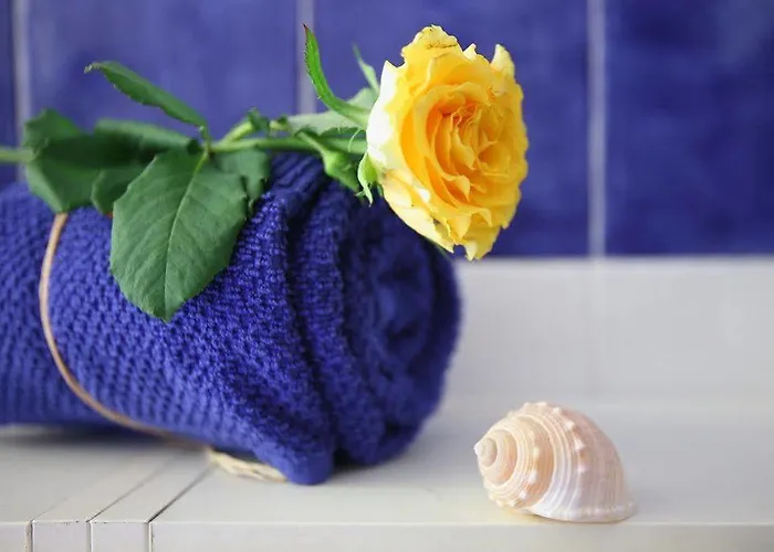 塔塔住宿加早餐酒店